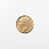 LIBRA EM OURO-VICTORIA