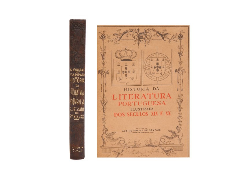 HISTÓRIA DA LITERATURA PORTUGUESA ILUSTRADA DOS SÉCULOS XIX E XX