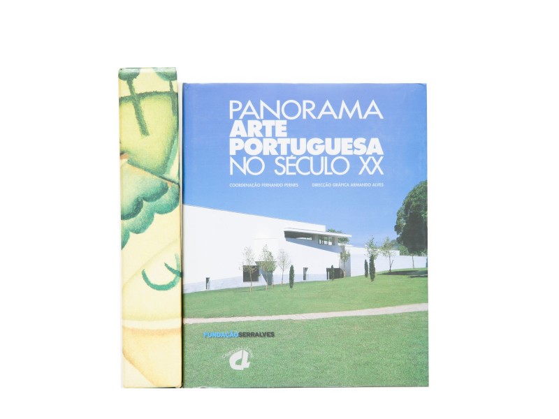 PANORAMA DA ARTE PORTUGUESA NO SÉCULO XX