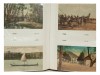 ÁLBUM DE POSTAIS ESTRANGEIROS E PORTUGUESES