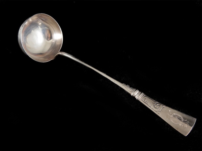 CONCHA DE SOPA
