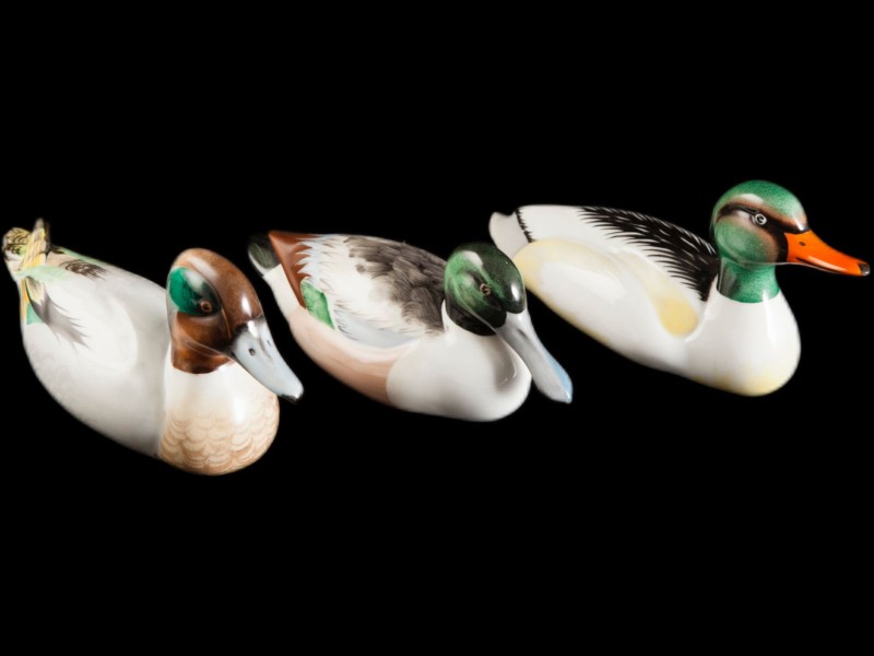TRÊS PATOS