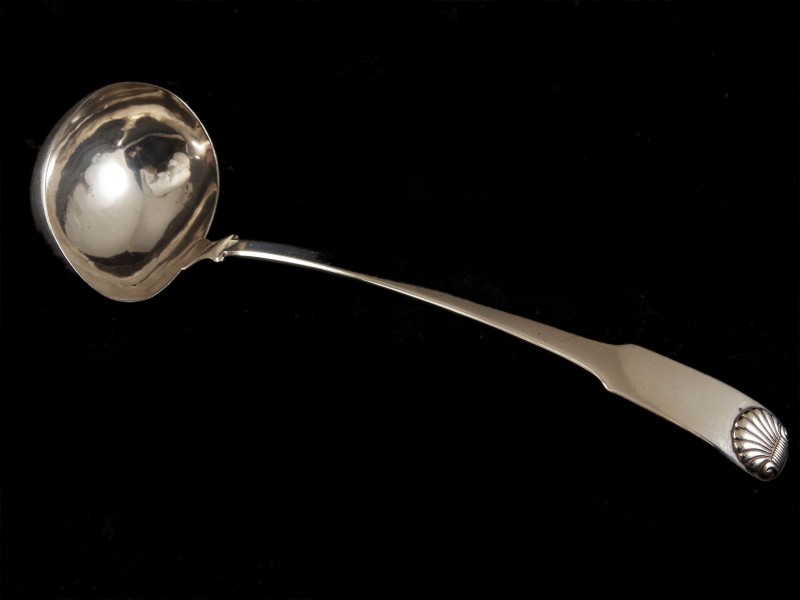 CONCHA DE SOPA