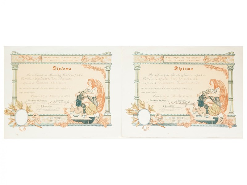 ASSOCIAÇÃO DE ASSISTÊNCIA DO CONCELHO DE ESPINHO (1917-1937)