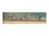 J. CAVALHEIRO JÚNIOR (SÉC. XX)