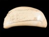 SCRIMSHAW “A CAÇA À BALEIA”