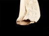 SCRIMSHAW “A CAÇA À BALEIA”