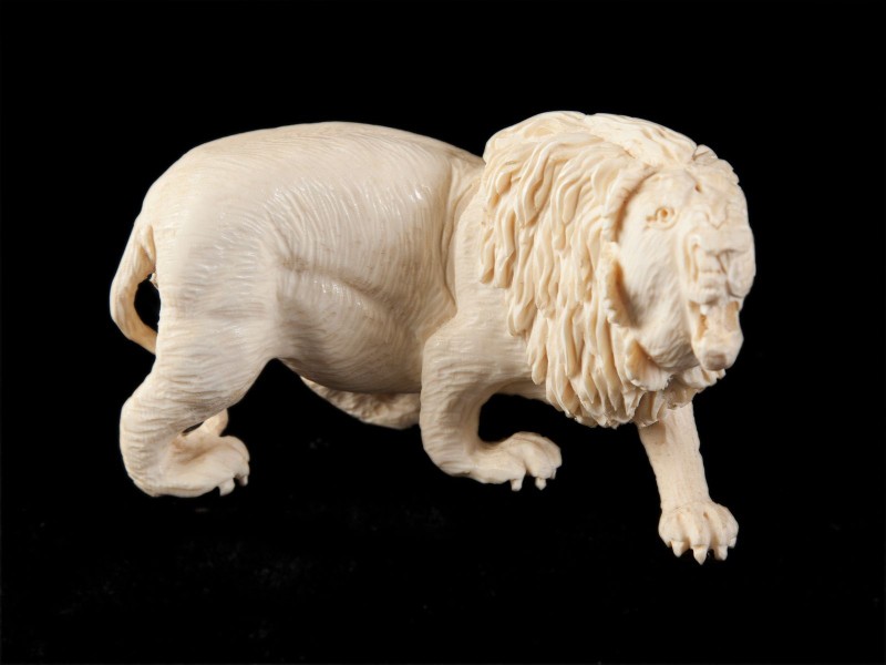LEÃO A RUGIR