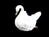 FLOREIRA EM FORMA DE CISNE