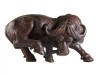 BÚFALO AFRICANO