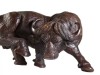 BÚFALO AFRICANO
