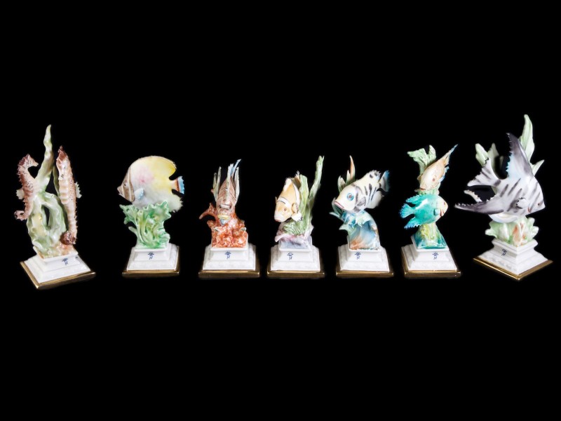 COLECÇÃO DE SEIS PEIXES TROPICAIS E PAR DE CAVALOS-MARINHOS