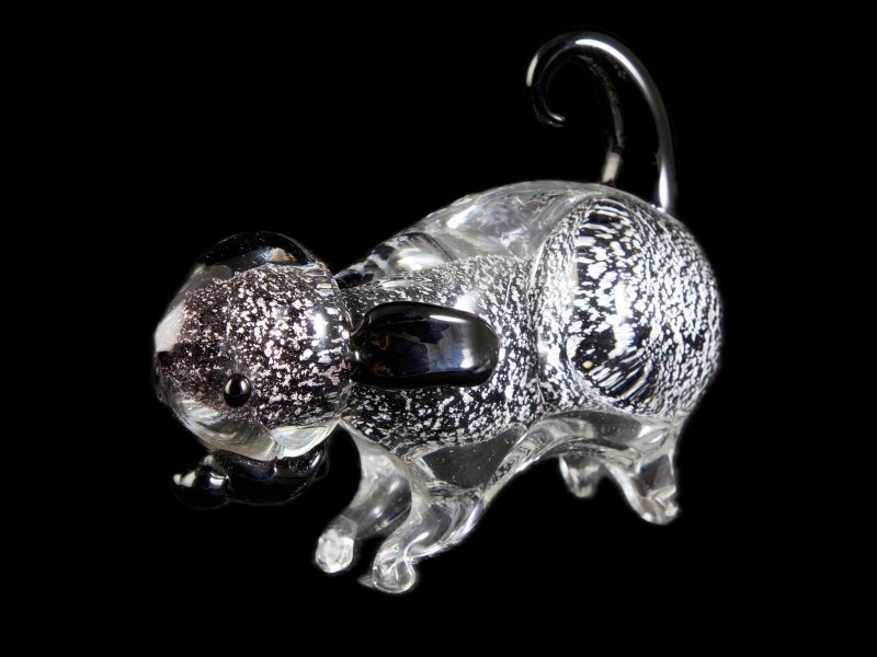 CÃO