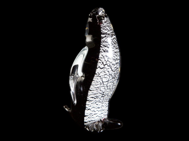 PINGUIM