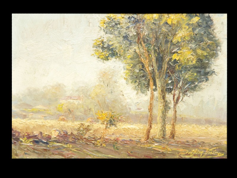 DELFIM VIEIRA - (1891-19??)