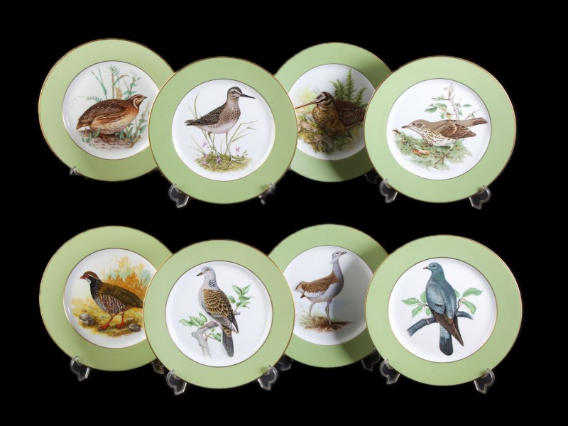 COLECÇÃO “AVES DE CAÇA”
