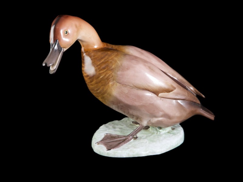 PATO
