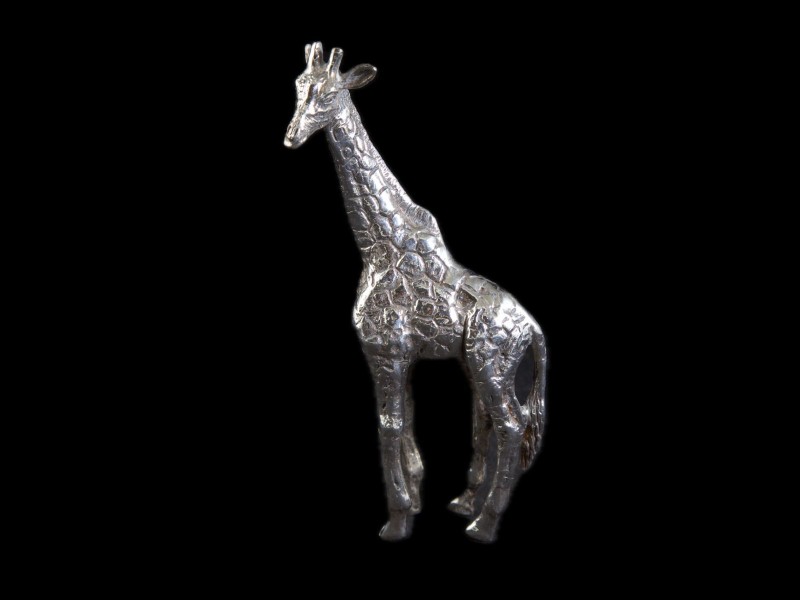 GIRAFA