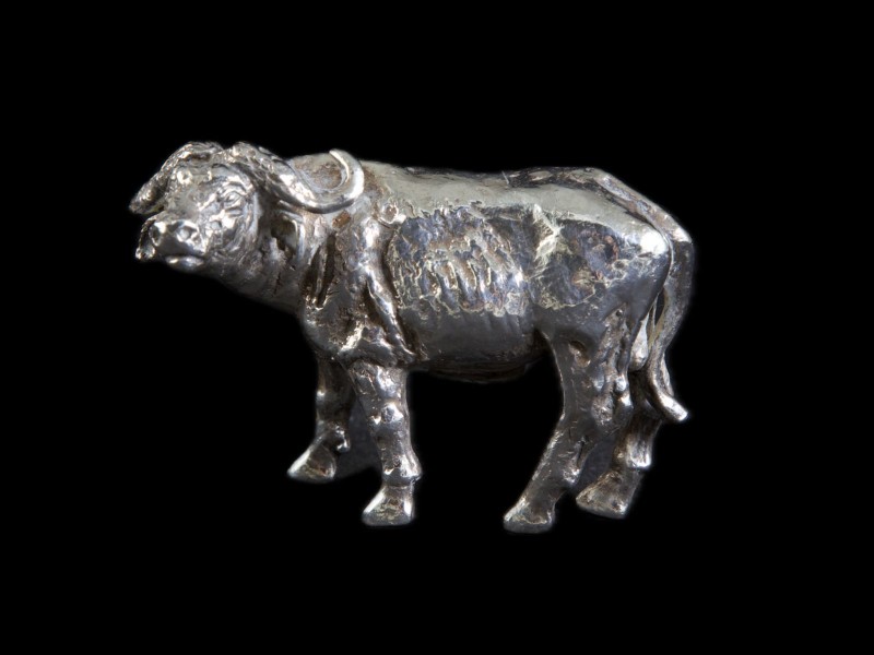 BÚFALO AFRICANO