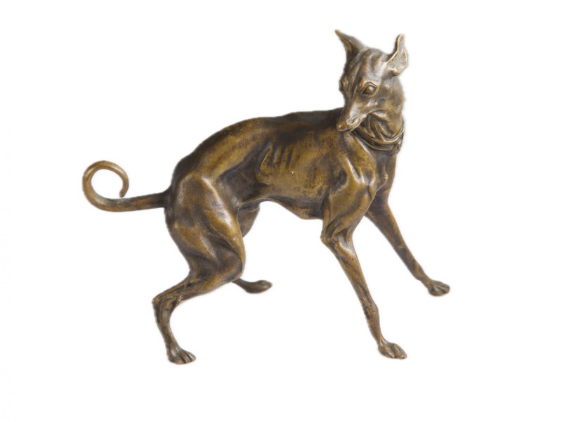GALGO ITALIANO