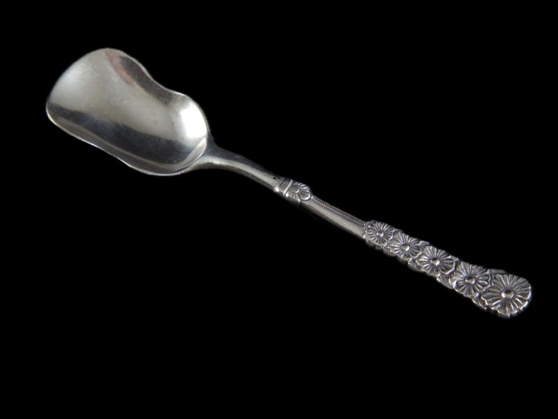 CONCHA DE AÇUCAR